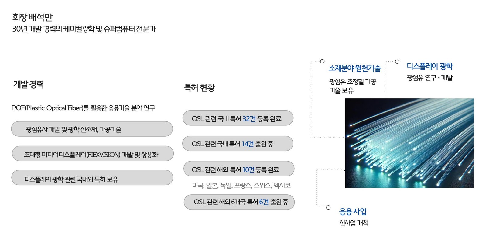 개발경력, 특허현황, 기술 보유(소재분야 원천기술·디스플레이 광학·응용사업) 도식